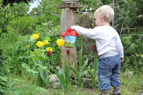 10 Good Reasons to Start a Terrace Garden -Bond with family