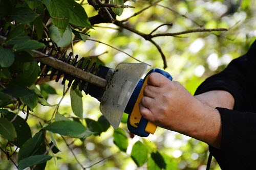 10 Good Reasons to Start a Terrace Garden - Strong hands