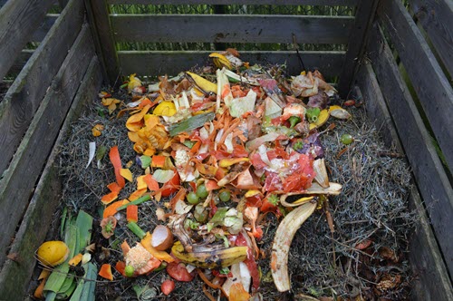 Common Gardening Mistakes To Avoid - composting