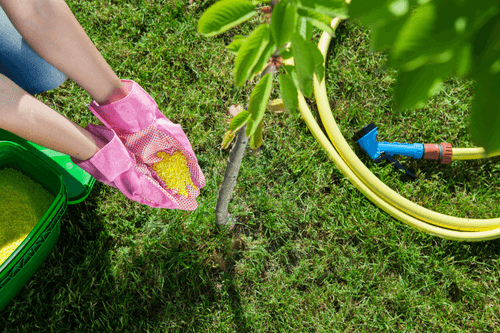 Common Gardening Mistakes To Avoid - fertilizers
