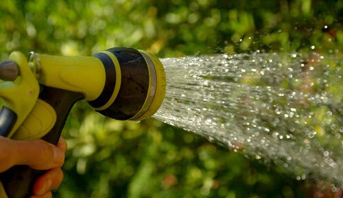 Common Gardening Mistakes To Avoid watering