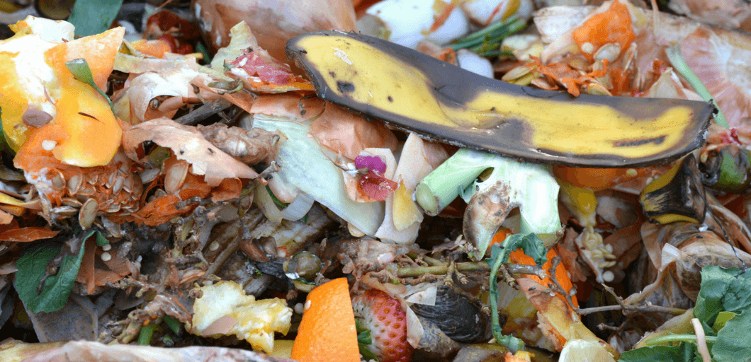 Make Compost from Kitchen Waste - MOG
