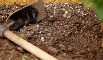 What is Potting Soil and How to Make a Good Potting Mix - MOG