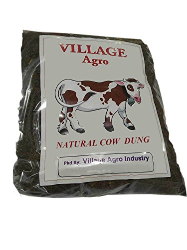 Cow Manure And Its Wonderful Benefits In Gardening Mog