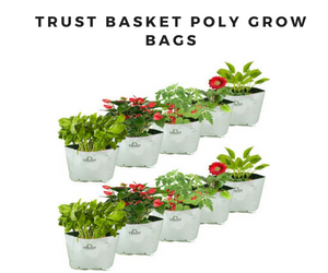 Poly Grow Bags