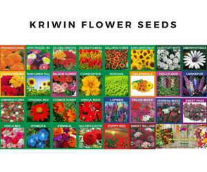 KRIWIN Vegetable Seeds