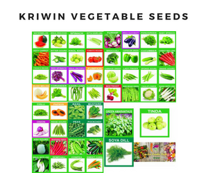 KRIWIN Vegetable Seeds