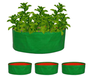 jayareddys Terrace Gardening leafy 24x8 inches (pack of4) growbags Grow Bag  Price in India - Buy jayareddys Terrace Gardening leafy 24x8 inches (pack  of4) growbags Grow Bag online at