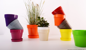 How to Choose the Perfect Planters for Your Home - MOG