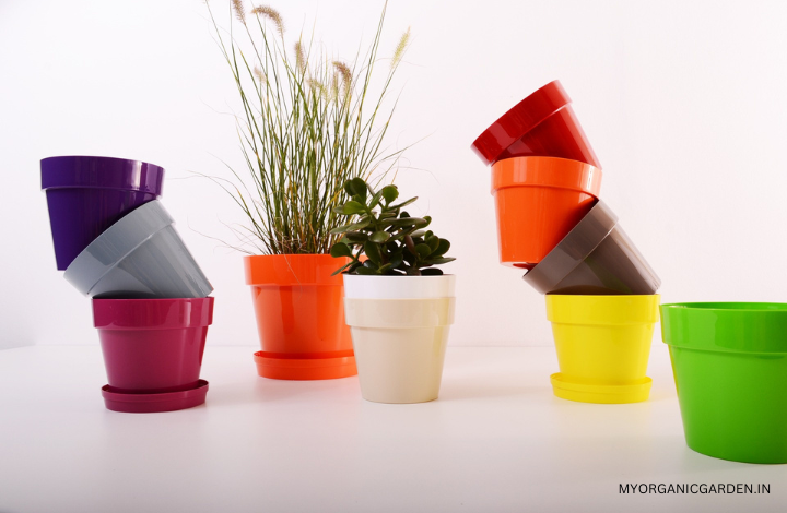 How To Choose The Perfect Planters For Your Home